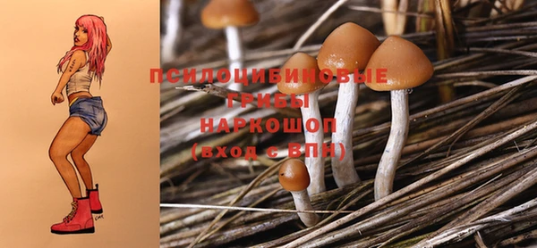 спиды Абаза