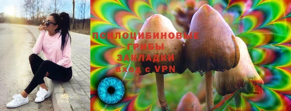 спиды Абаза