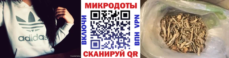 Галлюциногенные грибы MAGIC MUSHROOMS  где найти наркотики  Кандалакша 