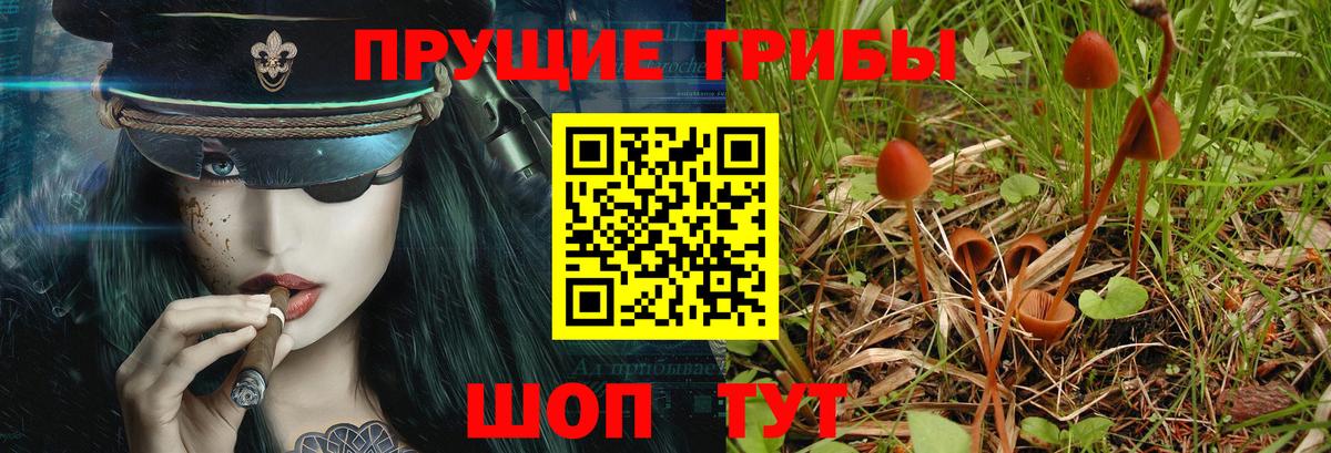 Кандалакша  Галлюциногенные грибы прущие грибы  Галлюциногенные грибы Magic Shrooms  Вход с VPN 